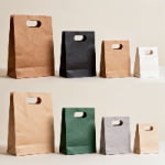 d cut paper bags 4