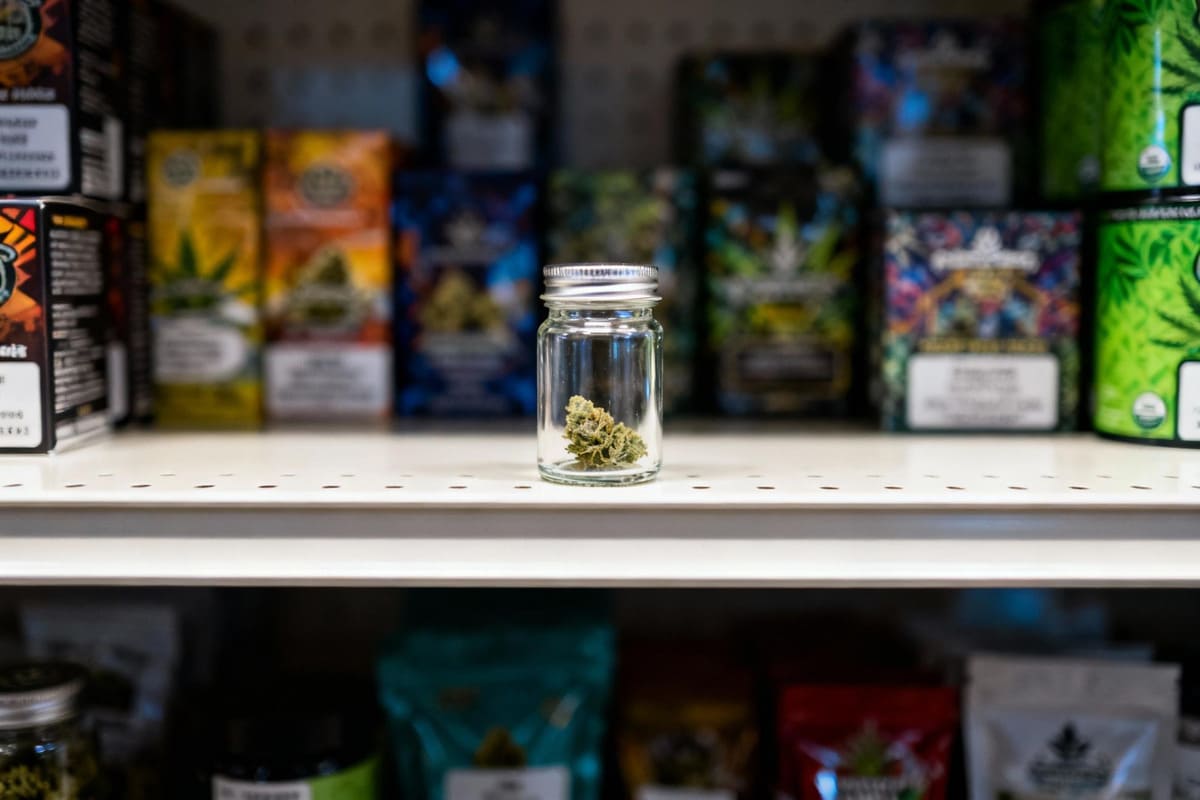 Shelf Appeal of Transparent Cannabis Packaging A dispensary shelf where a single product in a clear jar stands out against a background of opaque, busy packaging designs