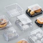 thermoformed box blister 10