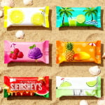 back seal bag:pillow bag 3